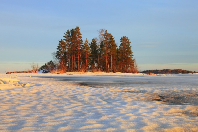 winter_landscape_trees-64366.jpg