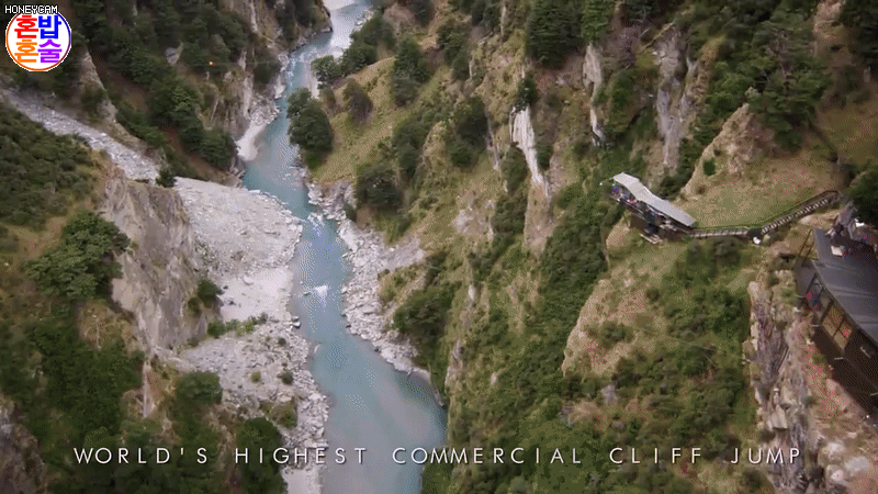Extreme-Bungy-with-Shenanigans-in-New-Zealand.gif
